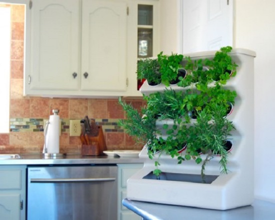 Living Herb Wall For Kitchen - Wall Design Ideas
